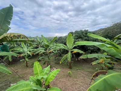 Lote y casalote en venta