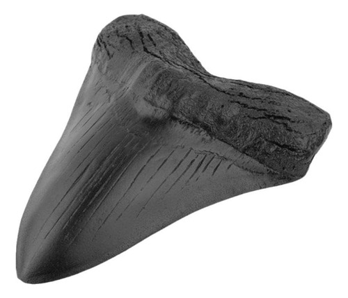 Réplica Fósil De Diente De Tiburón Megalodon, Resina Negra,