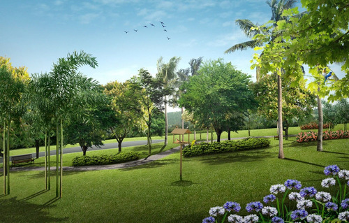 Terreno - Te00055 - 68799993