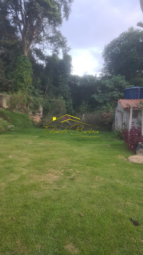 Imagem 13 de 15 de Chacara - Ch00061 - 71038674