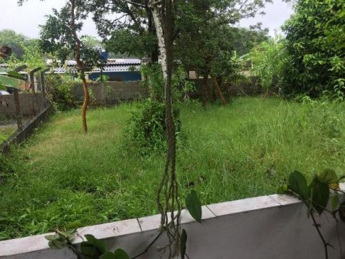 Chácara No Bairro Sítio Velho Em Itanhaém Lado Serra