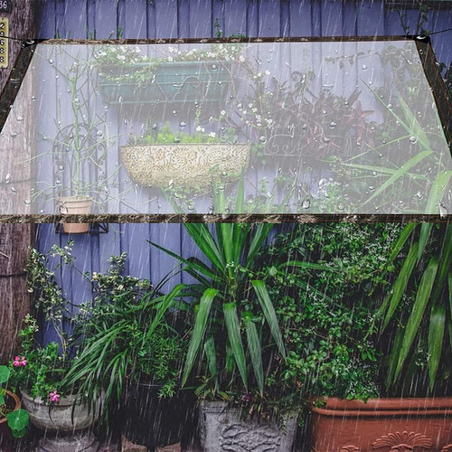 Lonas Transparentes Impermeables 3x6 Metro Para Invernadero
