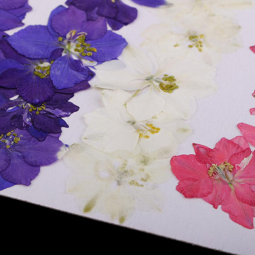 L 2 X 20 Pieces Natural Dried Flowers Delphinium Decoration