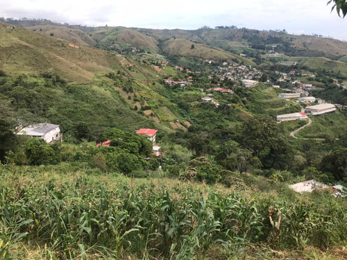 Imagen 5 de 5 de Terreno En Venta