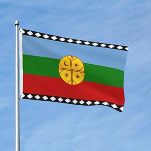 Bandera De Los Mapuches 150 Cm X 90 Cm *