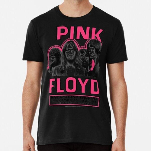 Remera Teatro Pink Floyd Paramount Algodon Premium