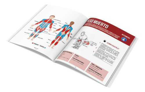Fuerza Entrenamiento Y Anatomía Miembros Inferiores Tomo 2