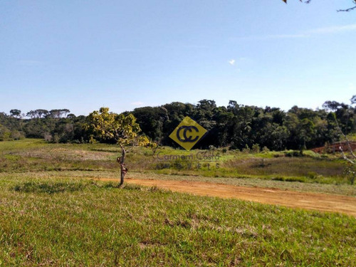 Imagem 12 de 17 de Terreno À Venda, 1000 M² Por R$ 100.000,00 - Vila Verde - Rio Das Ostras/rj - Te0297