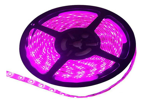 Rollo Tira De Led 5m 12v Color Rosa Lux Led