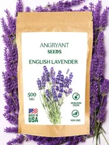Comprar Semillas De Lavanda Para Plantar Jardin De Hierbas Semillas