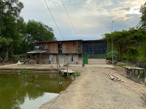 Imagen 6 de 12 de Camaronera De Venta En Guayquil, Taura, Canal De Matorrillos