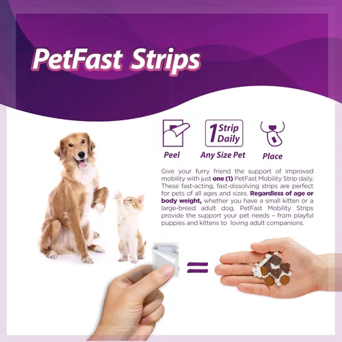 Tiras De Movilidad De Petfast Para Cadera Y Articulación De