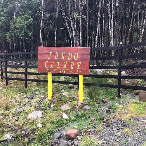 Cheñue- Zona Horno Piren Parcela De Ensueño