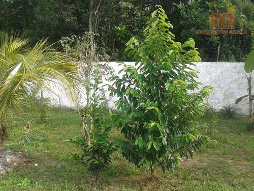 Imagem 25 de 29 de Chácara Com 2 Dormitórios À Venda, 880 M² Por R$ 250.000,00 - Jardim Somar - Peruíbe/sp - Ch0148