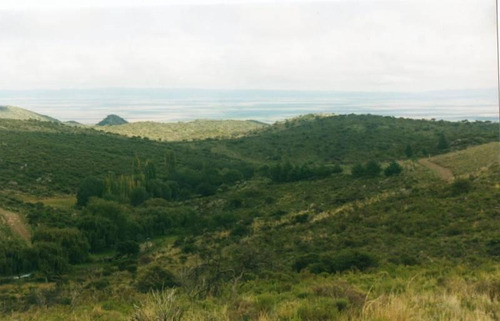Imagen 11 de 22 de Traslasierra - Estancia Aguas Del Tala - Pueblo Ambul - Pampas Del Pocho - 383has Cercadas A La Venta En Una Zona De Crecimiento Constante - Mina Clavero - Cordoba