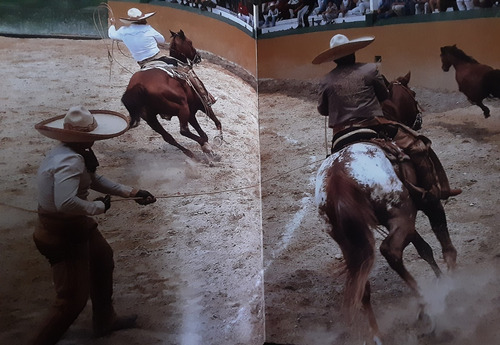 Jalisco Milenario. Prólogo De Hugo Gutiérrez Vega. (Usado)