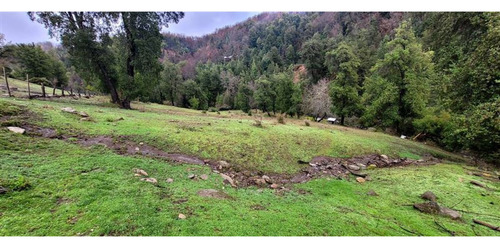 Se Vende Terreno De 14 Hectáreas Cercana A Radal 7 Tazas, Sa