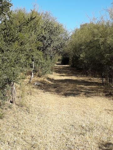 Imagen 7 de 9 de Venta De 4 Has En Villa Dolores, Traslasierras