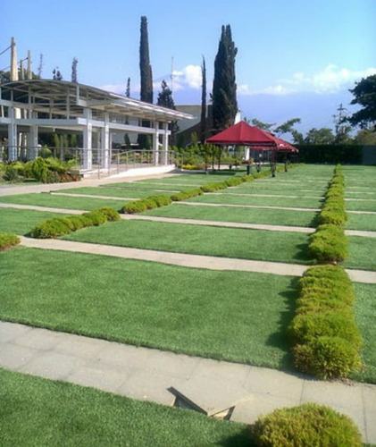 Se Vende Parcela 2 Puestos Cementerio Del Este