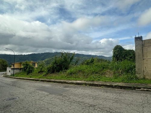 Se Vende Parcela Parcialmente Plana En Bosque De La Laguita Vi Mls #24-14479