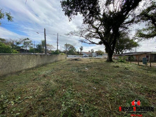 Imagem 4 de 8 de Excelente Terreno Em Rua Pavimentada, Em Bal. Barra Do Sul - Sc. - 308