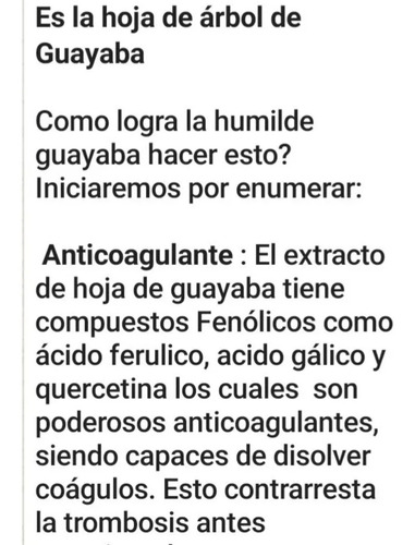 Guayabas Para Infucion