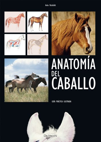 Libro Anatomia Del Caballo Guia Practica Ilustrada - Rusbuld