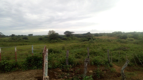 En Venta Finca En Aragua De Barcelona Estado Anzoategui