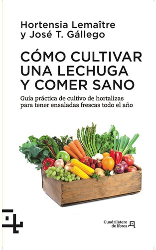 Cómo Cultivar Una Lechuga Y Comer Sano - Guía Práctica