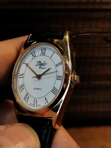 Reloj steelco quartz new arrivals