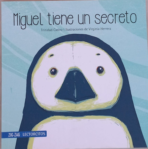 Miguel Tiene Un Secreto