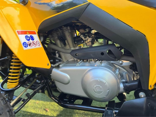 Imagen 4 de 7 de Can Am Ds 250 Impecable Como Nuevo!!!!