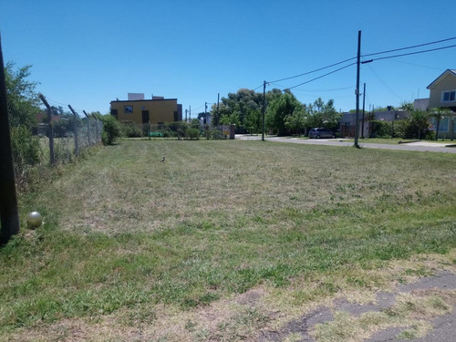 Imagen 9 de 13 de Terreno - Loma Verde
