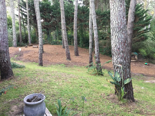 Hemosa Casa En Carilo Para 7 Personas