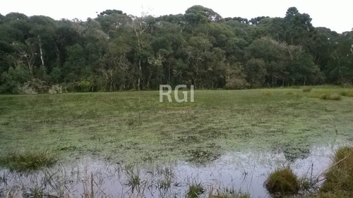 Terreno Em Primeiro Distrito - El56353457