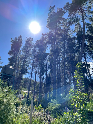 Alquiler De Cabaña En Bariloche