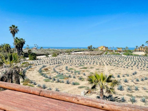 La Pastora Beach Agave Fields