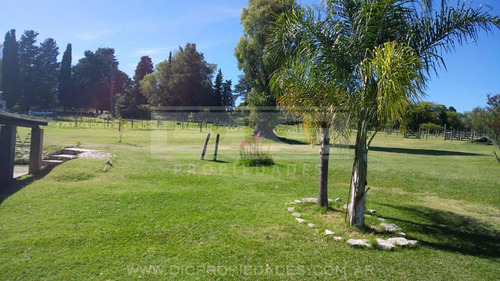 Casa 6 Ambientes En Campo De 3 Hectareas Piscina Quincho En Victoria Prov. De Entre Rios