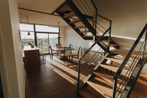 Imagen 6 de 14 de Chacra En Venta Con Casa A Estrenar - La Barra Camino Eguzquiza