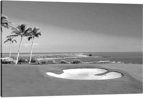 Campo De Golf En Blanco Y Negro De La Costa De Californ...