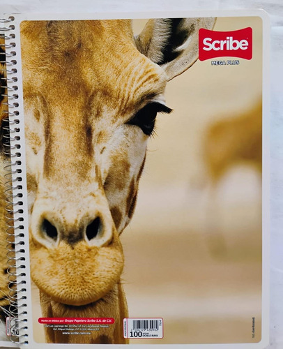 Kit Cuaderno Profesional Megaplus Scribe Doble Raya (5 Pzas) Blanco