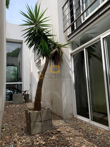 Edificio Corporativo En Alquiler, 9 Privados, 3 Baños Y 2 Patio - Canelones- Parque Rodó