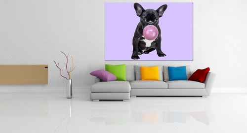 Cuadro Moderno Canvas, Cachorro Pug Con Chicle