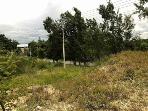 Terreno En Renta En Comitan