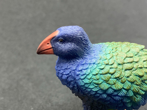 Figura Collecta - Ave Takahe - 5cm Comprimento