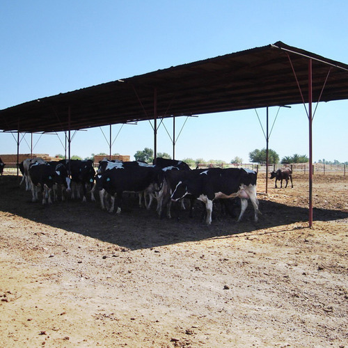 Tela Sombra Cobertura Toldo Carro Garagem 4x4m Bainha Ilhós