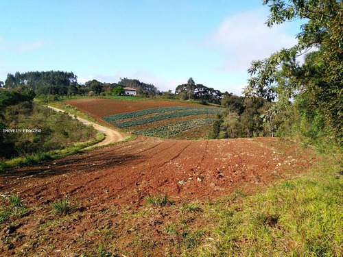 Imagem 11 de 15 de Chácara Para Venda Em São José Dos Pinhais, Colonia Murici - 50.230_1-1392071