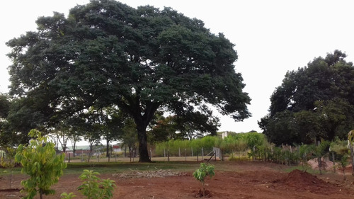 Chácara De 1.743 Metros Com Área Verde E Pomar