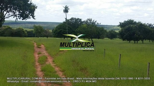 Imagem 5 de 15 de Fazenda Uberlândia Mg Para Pecuária Ou Soja, Milho 82,03 Hectares - 358