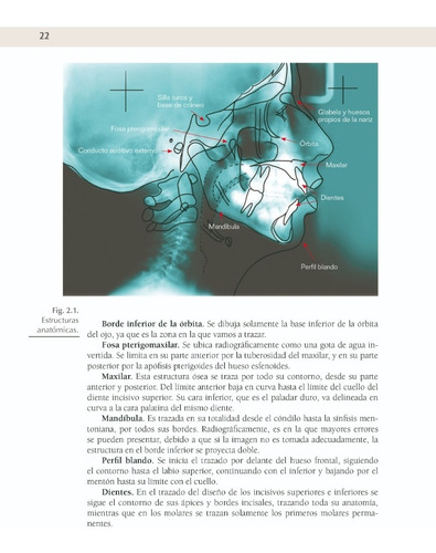 Manual De Cefalometría Editorial Trillas